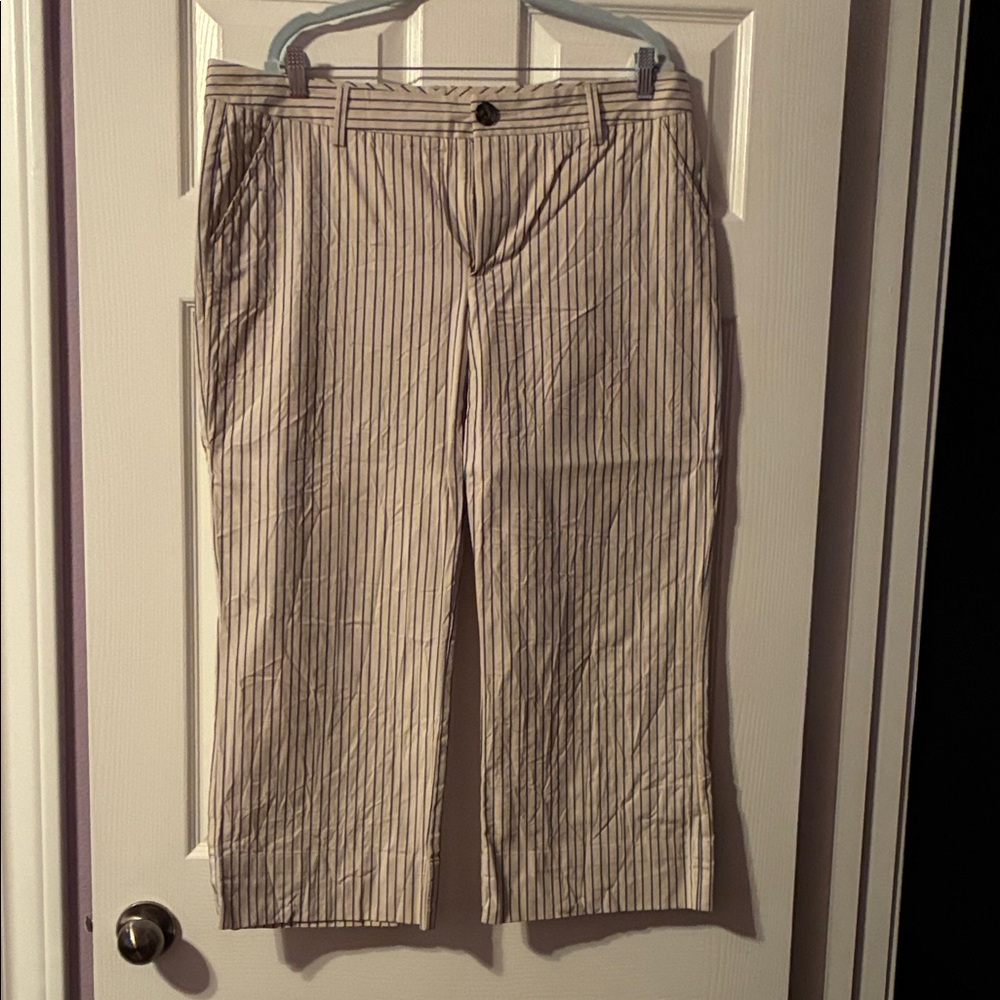 CAbi 5316. Tick Tock cropped pants Beige and Navy Striped Pants